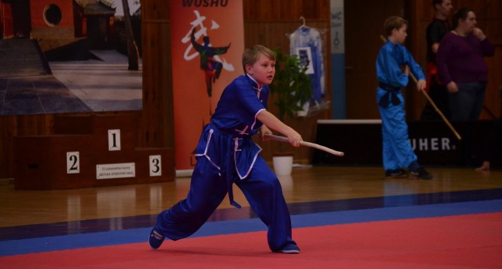 DSC_9540 (Kopírovat).JPG